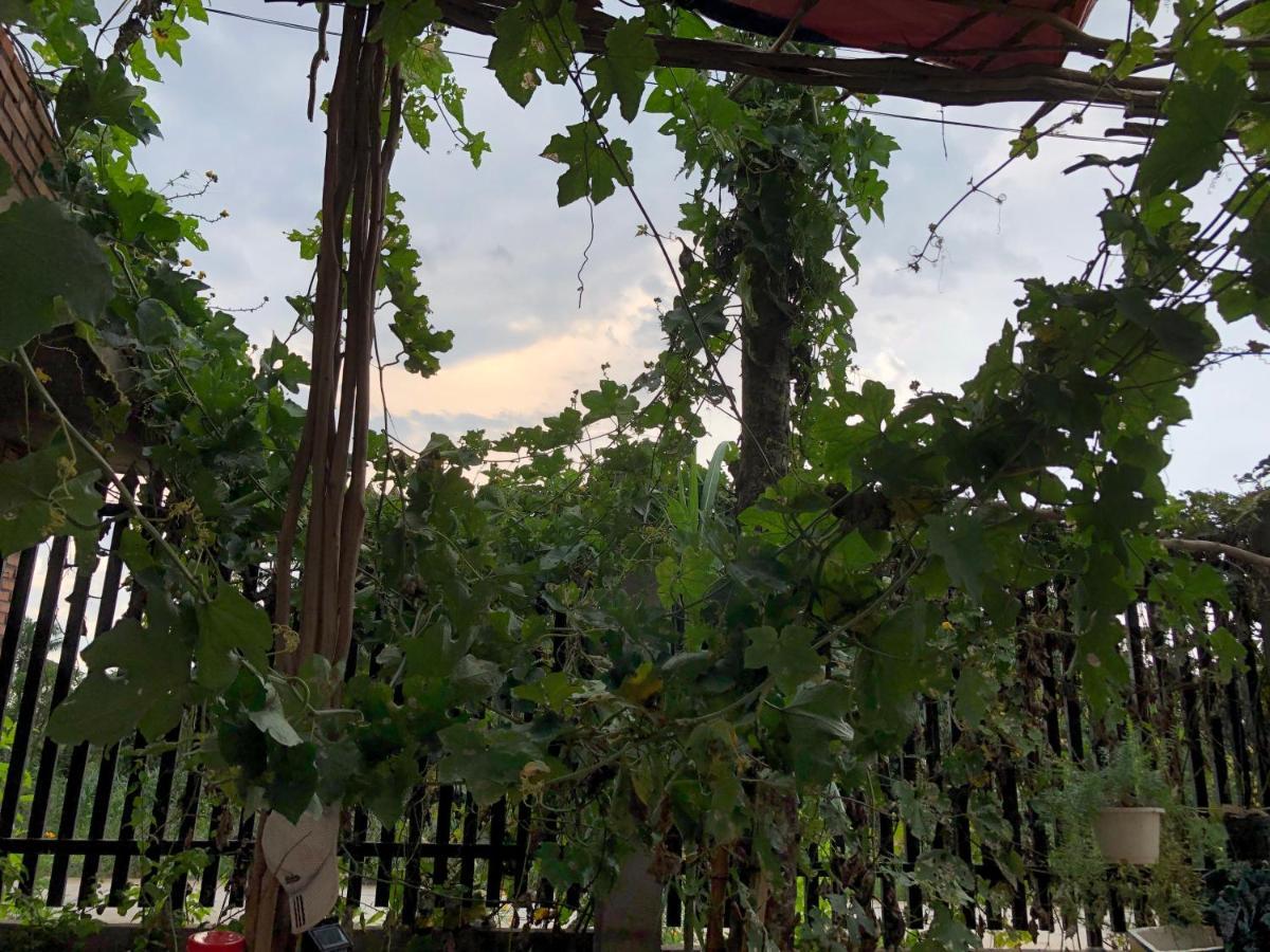 Bau Bi Mini Farmstay Mekong - Tien Giang My Tho Dış mekan fotoğraf