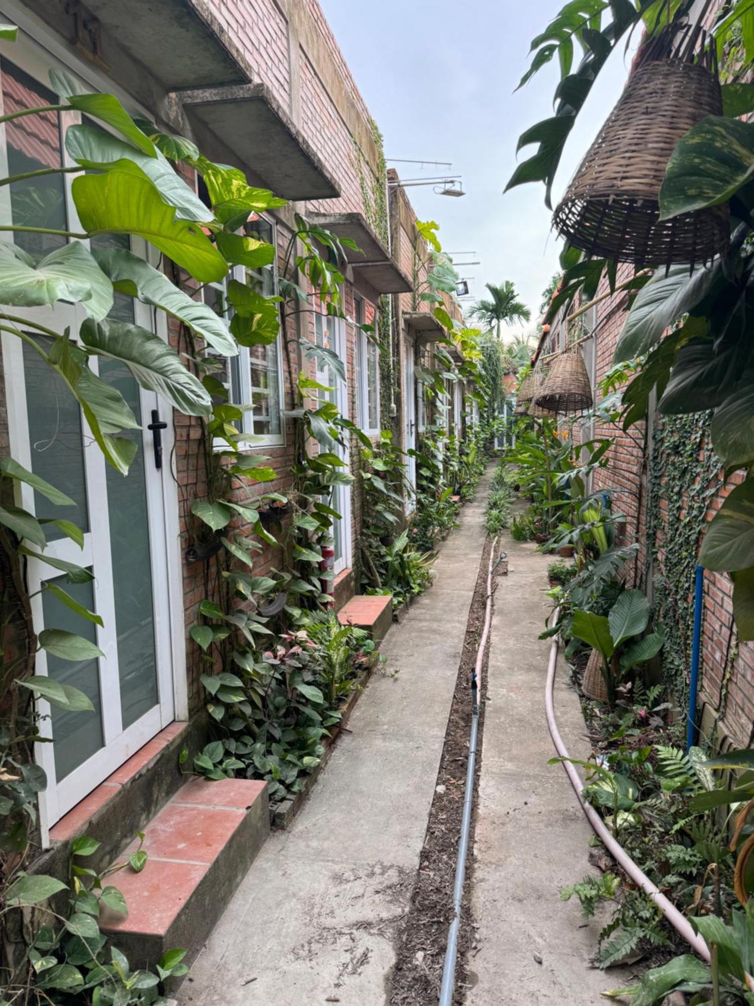 Bau Bi Mini Farmstay Mekong - Tien Giang My Tho Dış mekan fotoğraf